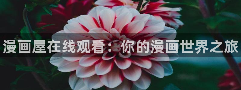 免费漫画人气漫画
