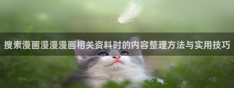 能免费看漫画的网站