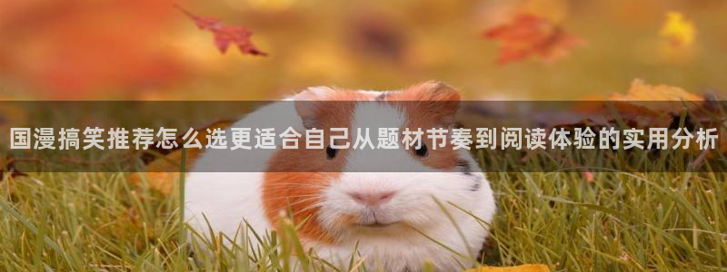 免费漫画阅读网站